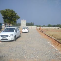 Site Photo