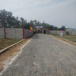 Site Photo